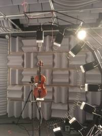 micarrayviolin2.jpg